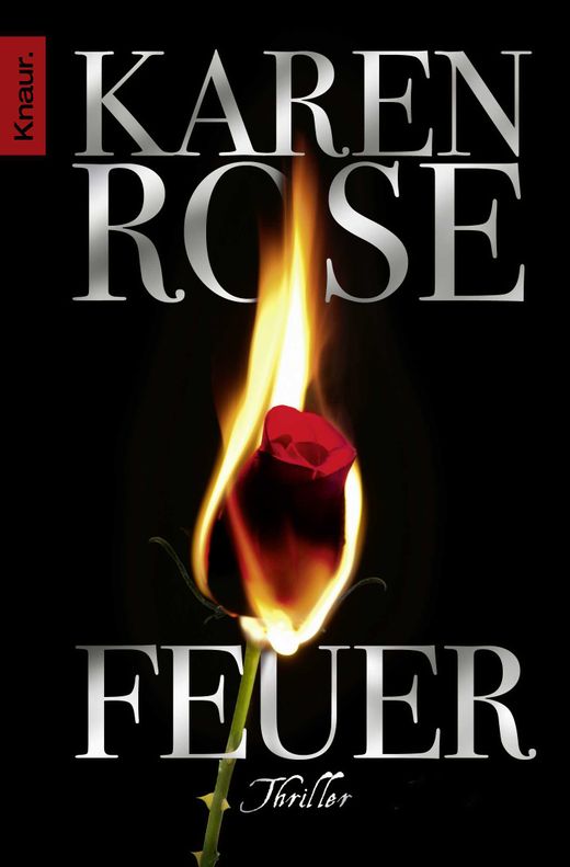 Karen Rose - Feuer (Minnesota 2)