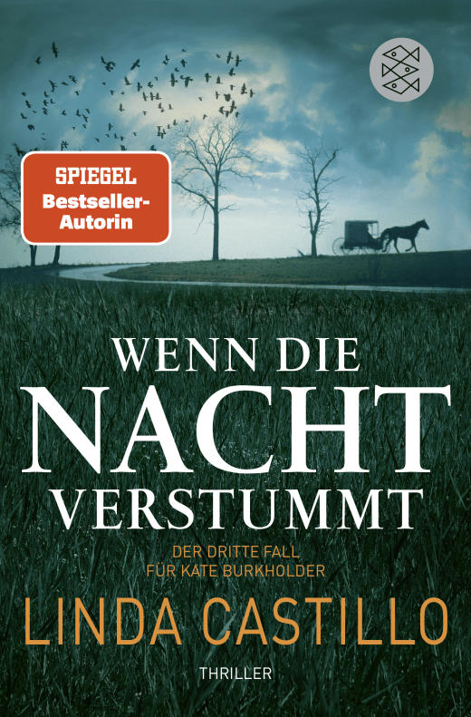 Linda Castillo - Wenn die Nacht verstummt (Kate Burkholder ermittelt 3)