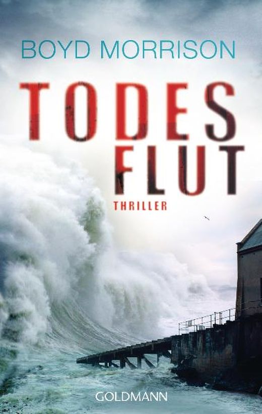 Boyd Morrison - Todesflut